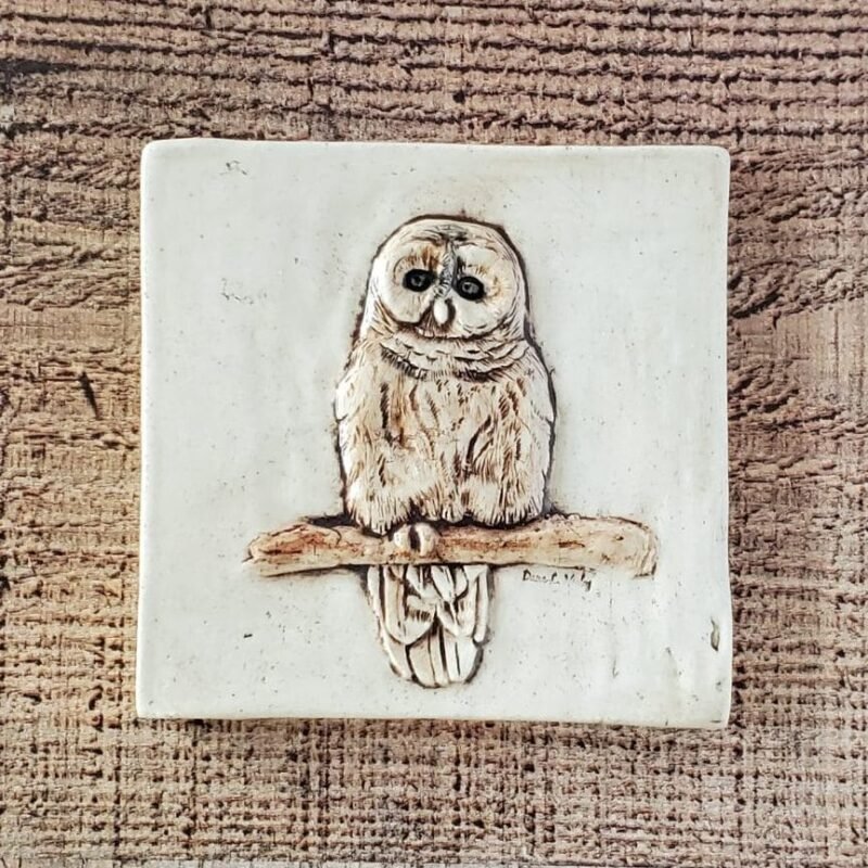 4 inch ceramic tile of a hand painted Barred Owl
