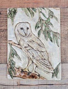 Barn Owl