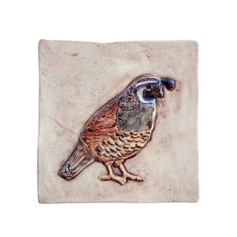 Male California Quail tile